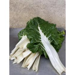 blettes - 1kg