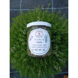 Thym pour cuisine