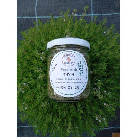 Thym pour cuisine