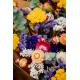 Bouquet fleurs séchées