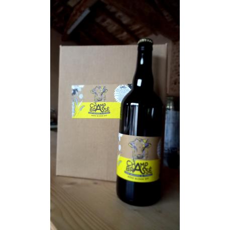 carton de 6 bouteilles de bière blonde