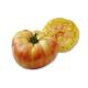 Plant de Tomate BIO Ananas