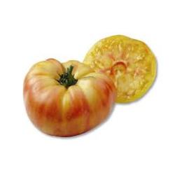 Plant de Tomate BIO Ananas