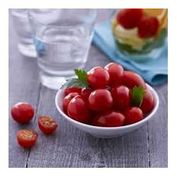 Plant de Tomate cerise Micron Bio