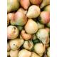Poires 1kg