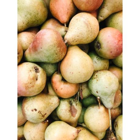 Poires 1kg