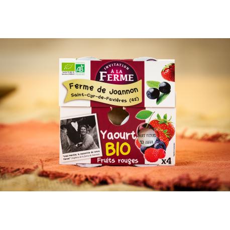 Yaourt fermier fruits rouges x 4 - bio