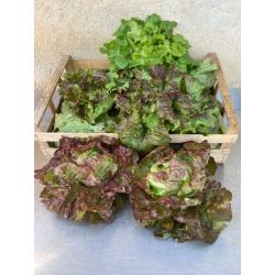Salade (pièce)