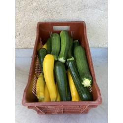 Courgette - 1kg