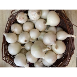 oignon blanc - 500g