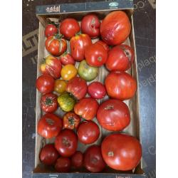 tomates à coulis