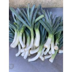 poireaux - 500g
